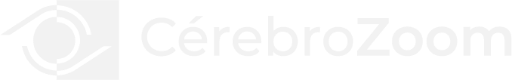 CérebroZoom | Informação Crítica e Consciência Ativa